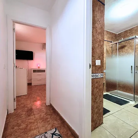 Rene 洛斯雷尔雷赫斯